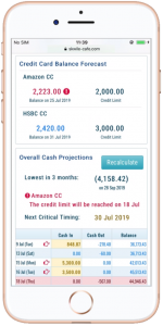 MobileCashSummary2